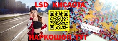 крисы Новокубанск