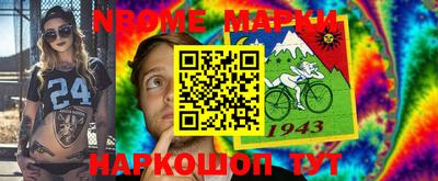 крисы Новокубанск