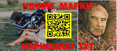 крисы Новокубанск