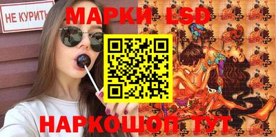 крисы Новокубанск