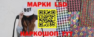 крисы Новокубанск