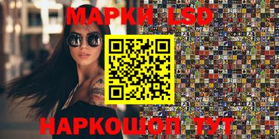 крисы Новокубанск