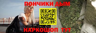 крисы Новокубанск