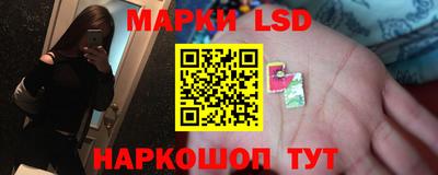 крисы Новокубанск