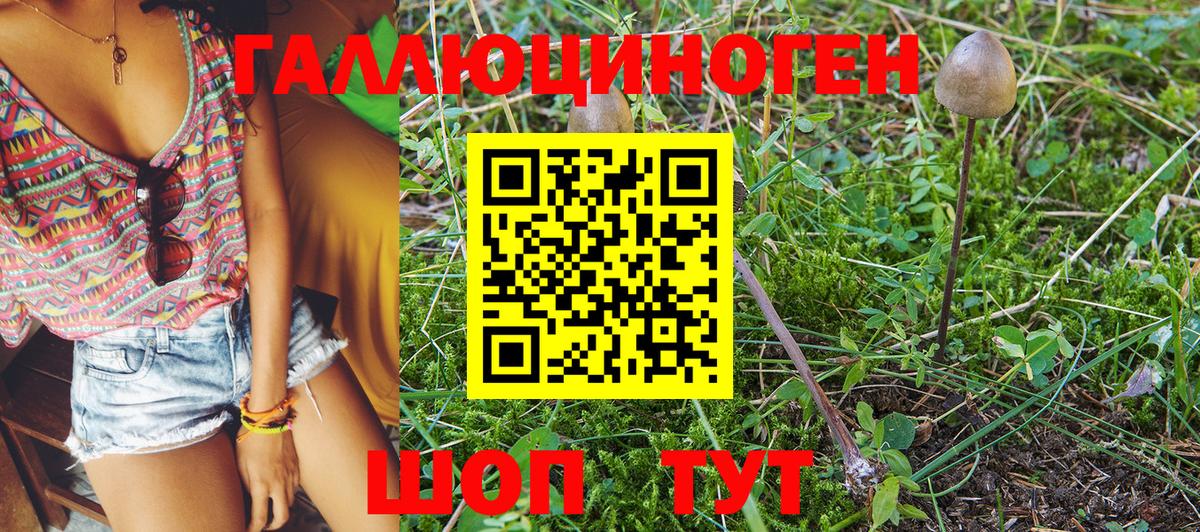 купить закладку  Вход с VPN  Семилуки  Галлюциногенные грибы Psilocybe  Псилоцибиновые грибы Magic Shrooms 